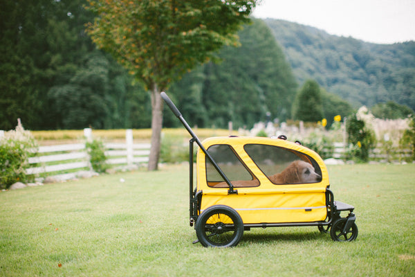 CARRIAGE